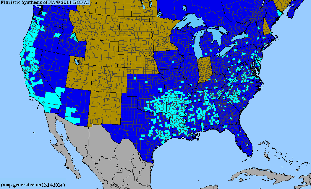 County distribution map of Galium sherardia - Blue Field-Madder